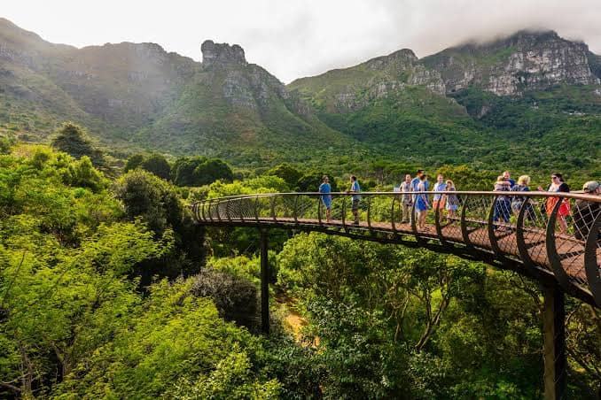 Kirstenbosch Botanical Garden Tour in Kirstenbosch National Botanical Garden, Cape Town, South Africa