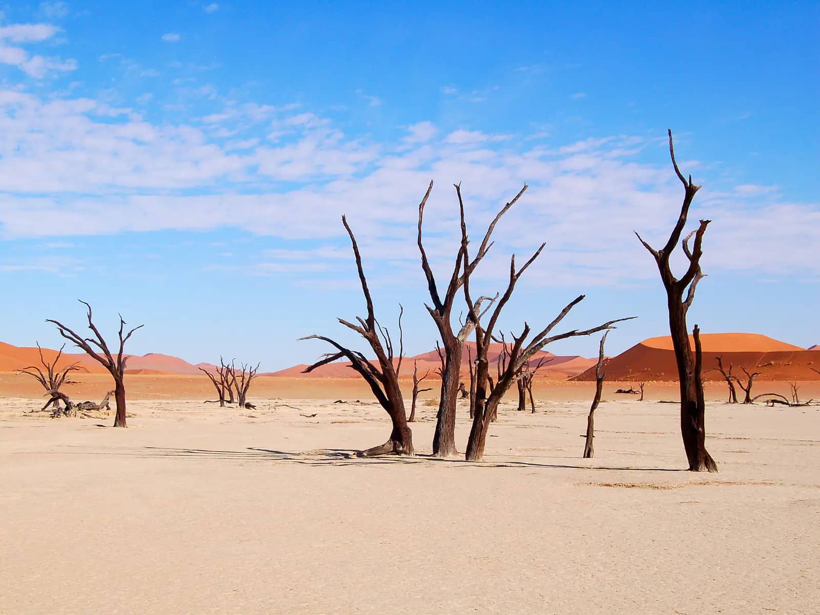 Sossusvlei and Deadvlei Guided Desert Tour in Sossusvlei, Deadvlei and Sesriem, Namib-Naukluft National Park, Namibia