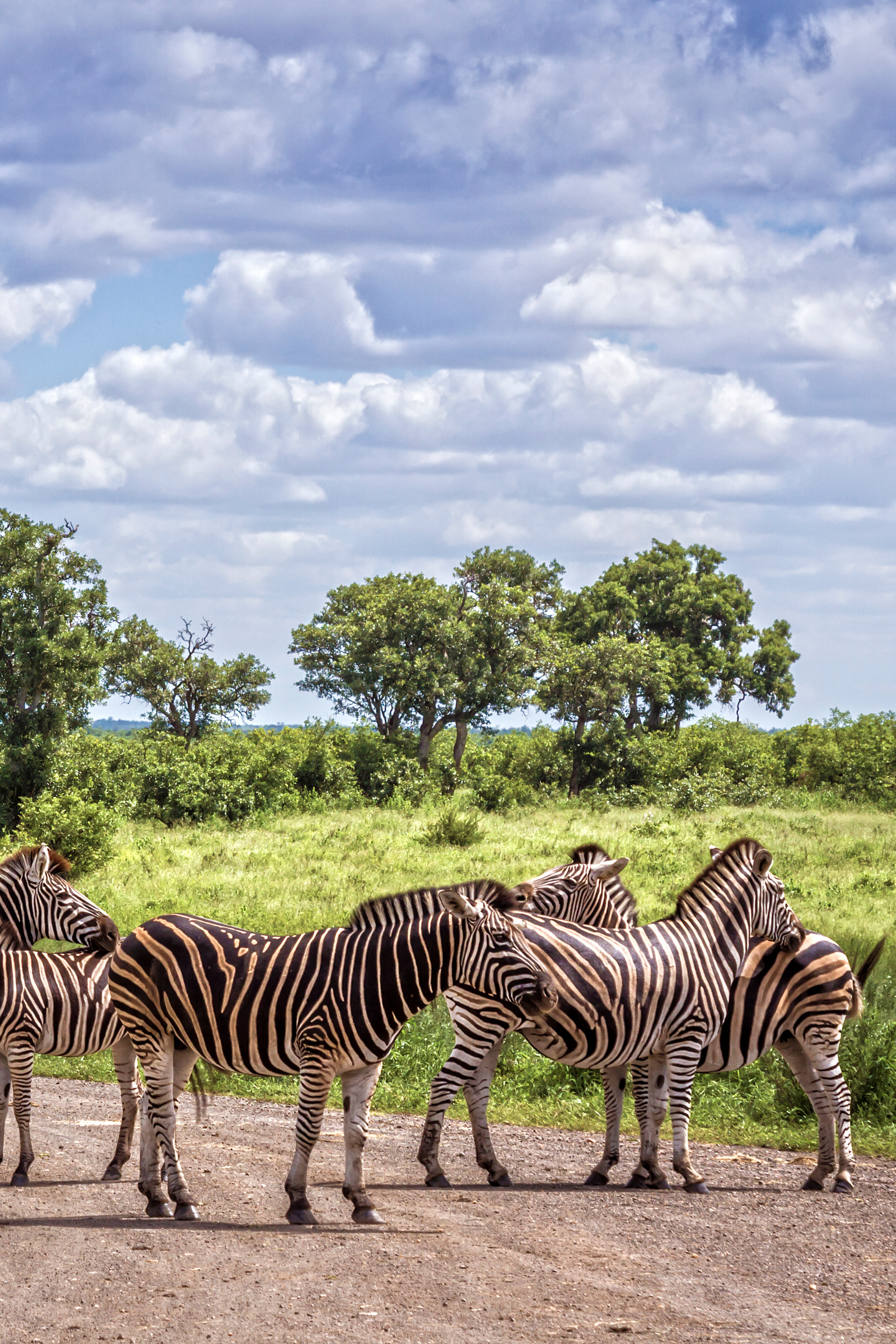 Kruger National Park