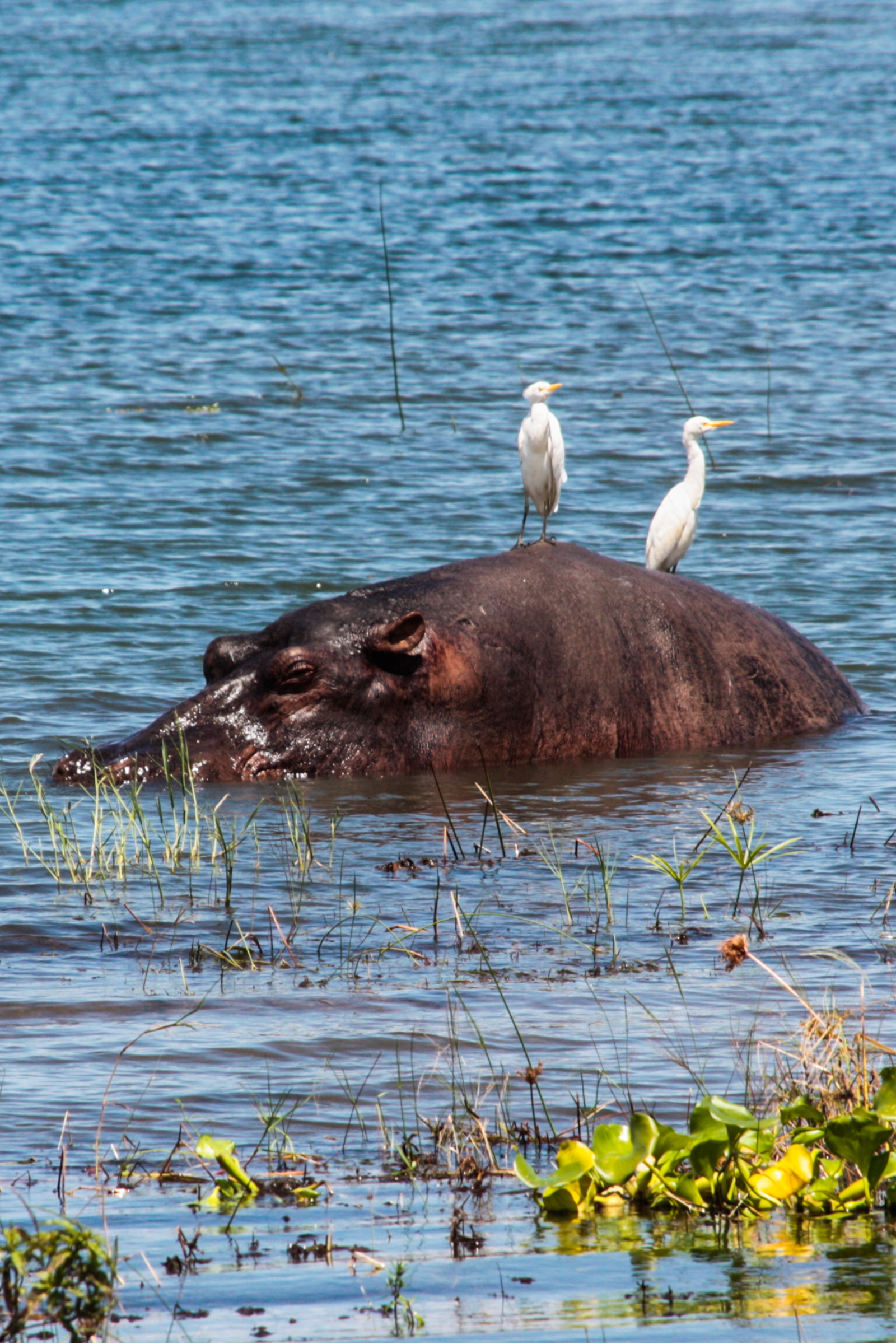 Lake Kariba