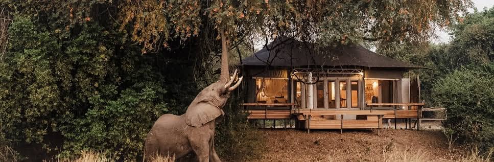 Private Zimbabwe Safari travel package in Zimbabwe
