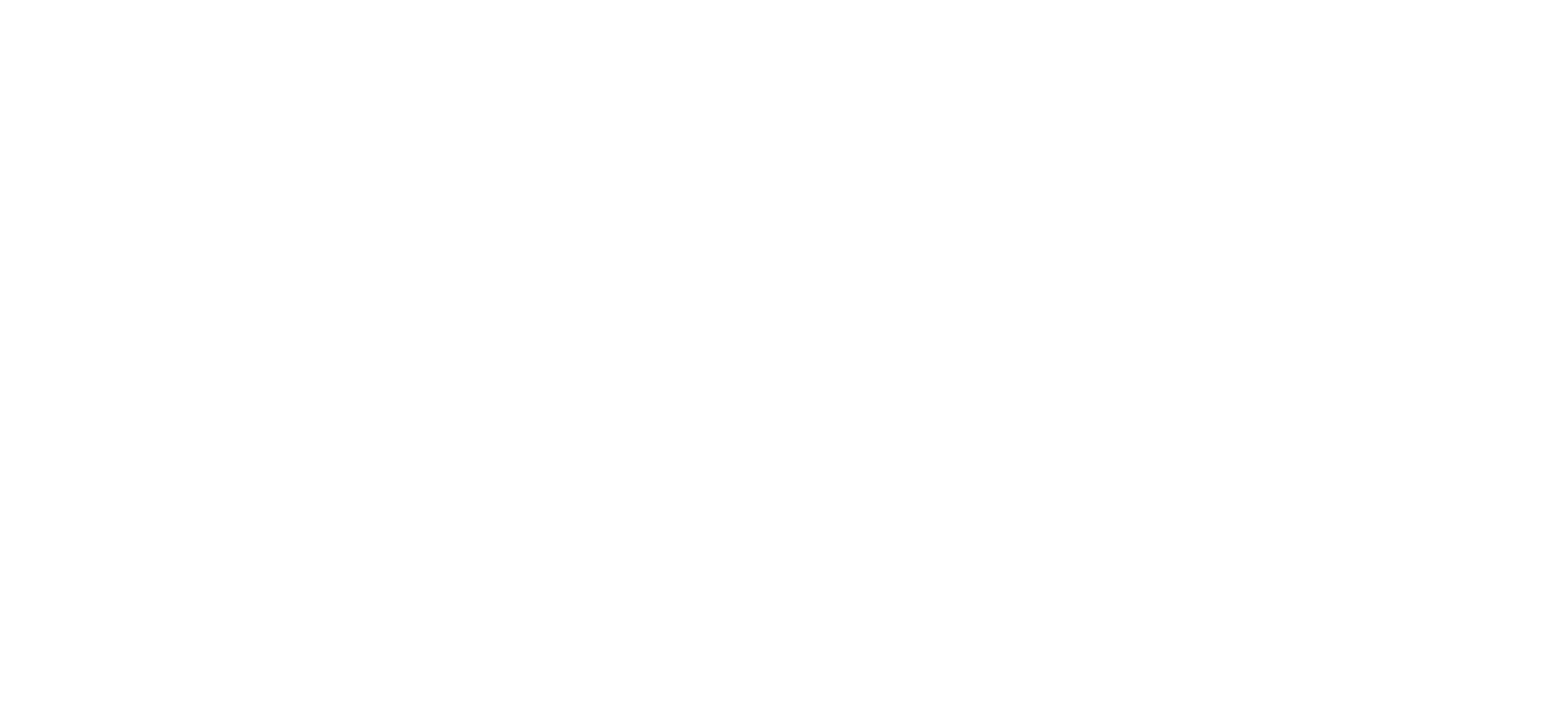 Shungu Africa Travel