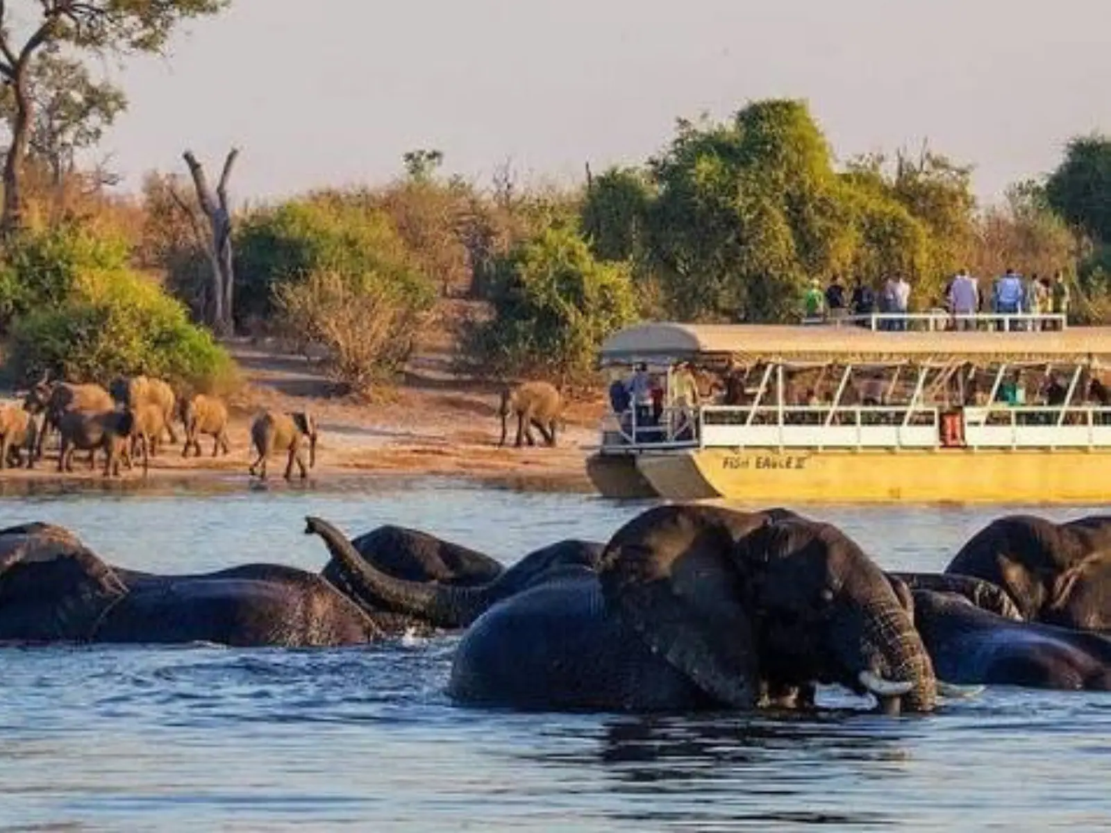 Victoria Falls, Hwange & Chobe travel package in Zimbabwe and Botswana